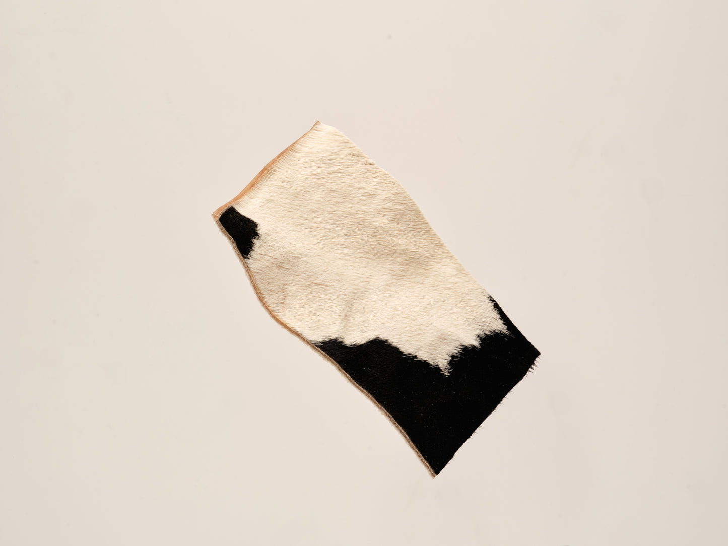 Njord Pet Nötchips