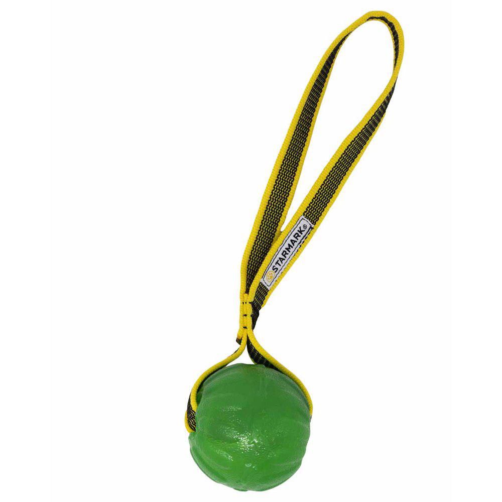 Starmark Gripcord Chew Ball Loop