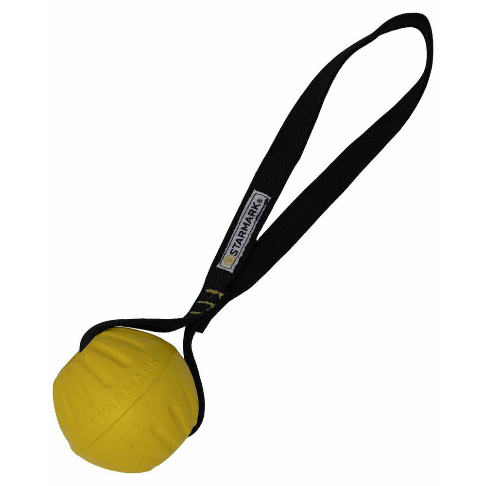 Starmark Gripcord Durafoam Ball Loop