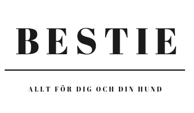 Presentkort
